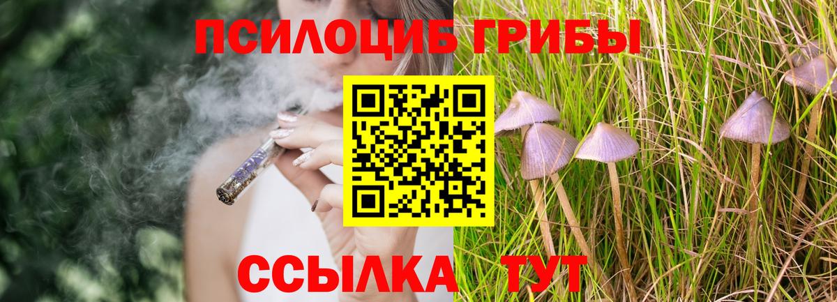 Псилоцибиновые грибы GOLDEN TEACHER Миасс